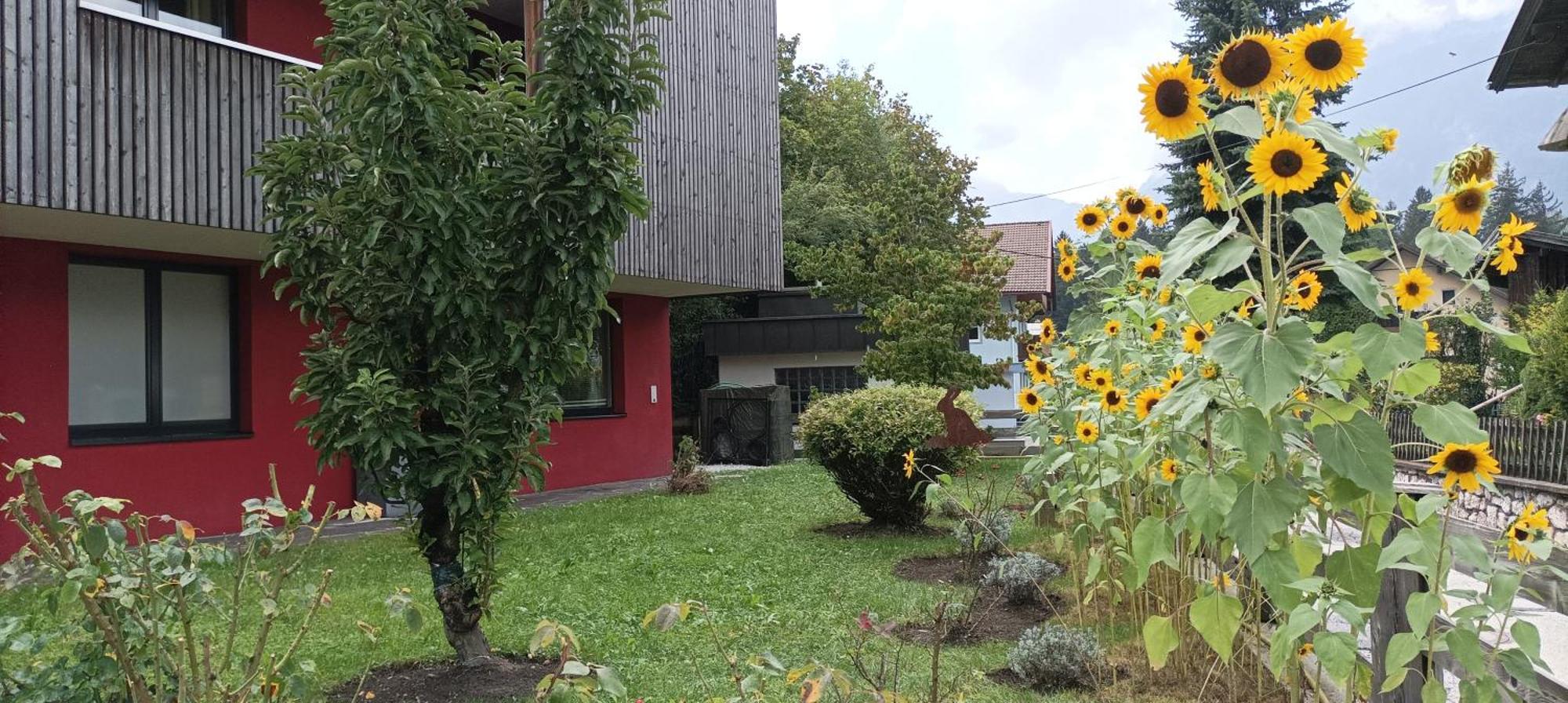 Inn-Studio Ursula Brixlegg Exterior foto